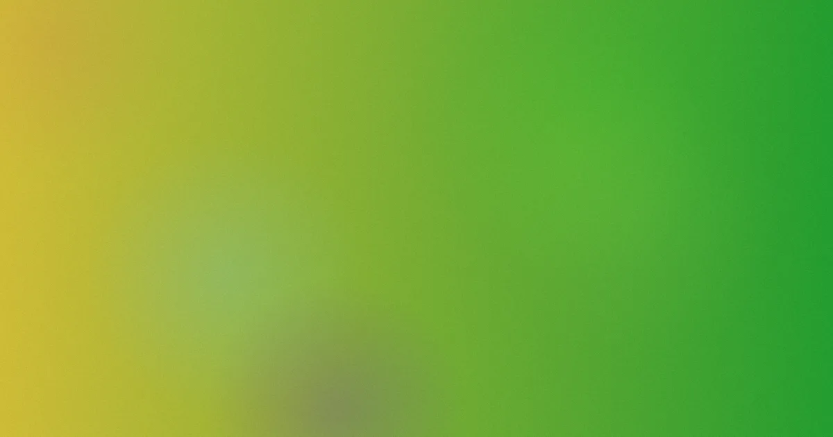 小姐姐2怎么用？检索核验实测